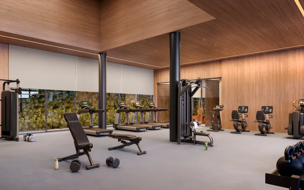 Fitness Do Vizcaya Itaim, Perspectiva Ilustrada