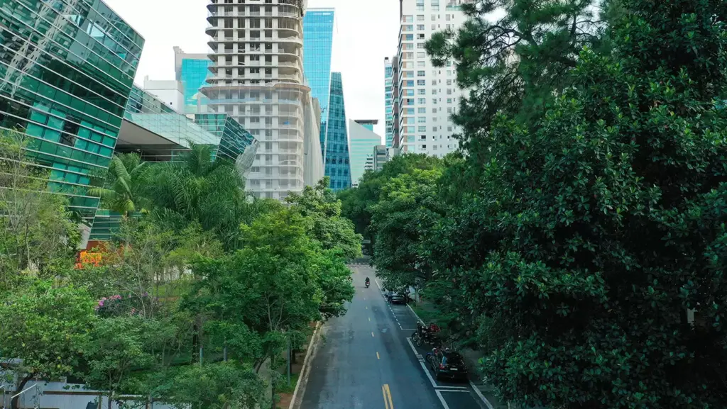 Rua Lopes Neto, No Entorno Do Vizcaya Itaim
